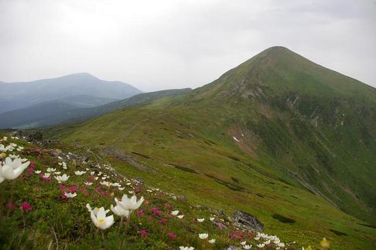 Ascent to Hoverla