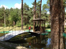 Upper Pisarevka. Children's camp